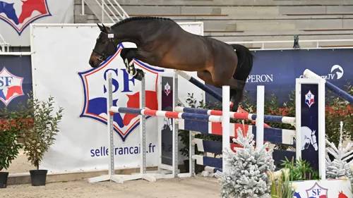 LES GARENNES