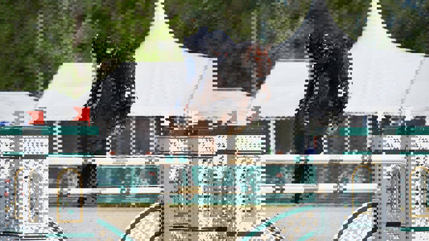 DR